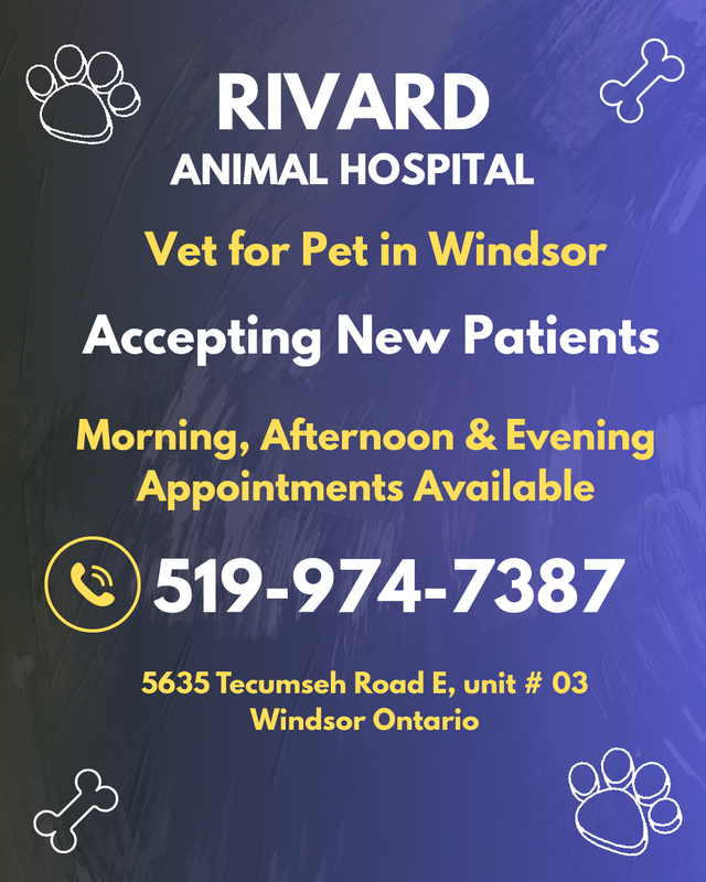 Vets for Pets in Windsor Accepting new Patients