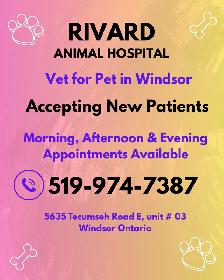 Vets for Pets in Windsor Accepting new Patients - Photo 2