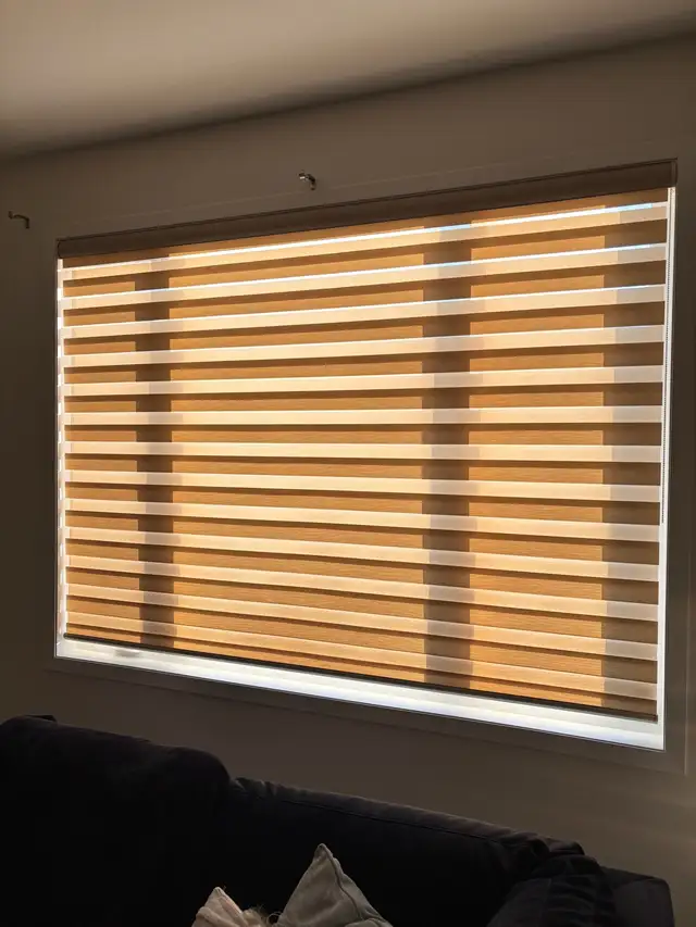 Blinds - Zebra Rollershades - Great condition