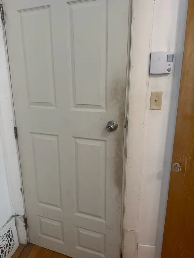 Cleaning Service