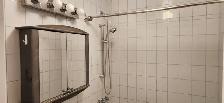 Logement 4 1/2 Plateau Mt-Royal, semi-meublé, Brébeuf-Mt-Royal - Photo 8