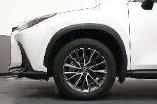 2025 Lexus NX HEATED SEATS | BLIND SPOT MONITORING | APPLE CARPL - Photo 4