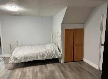 Large renovated bachelor basement apartment - Photo 3