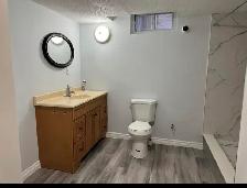 Large renovated bachelor basement apartment - Photo 4