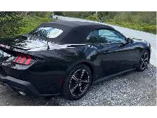 2025 Ford Mustang ECOBOOST PREMIUM CONVERTIBLE CUIR CAMÉRA RECUL - Photo 3