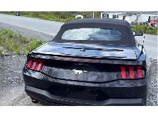 2025 Ford Mustang ECOBOOST PREMIUM CONVERTIBLE CUIR CAMÉRA RECUL - Photo 5