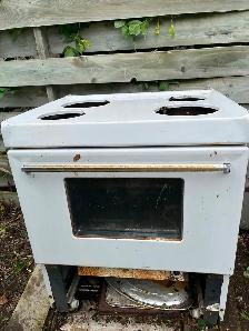 Fish smoker