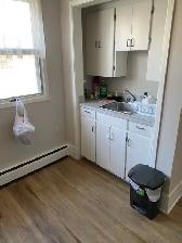 Lovely large 1 Bed Downtown Apt – 185 James St – July 1 - Photo 6
