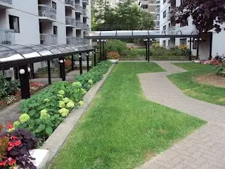 Furnished Studio Apartment Downtown (with Parking)