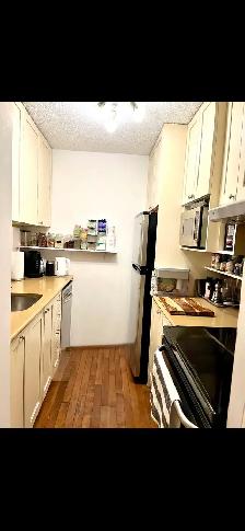 superbe condo à côte des neiges/ 2 chambres - Photo 3