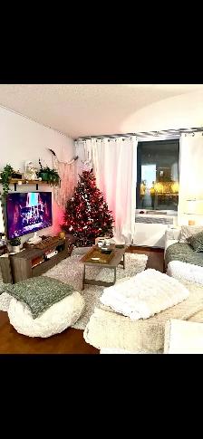 superbe condo à côte des neiges/ 2 chambres - Photo 6