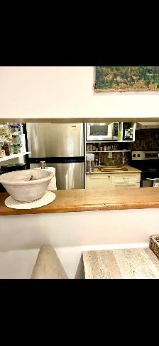superbe condo à côte des neiges/ 2 chambres - Photo 9