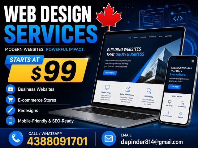 $99 Small Business Website Help | Dapinder