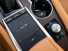 2022 Lexus RX RX 350 |Premium Pkg |Vented Leather |Sunroof |AWD - Photo 14