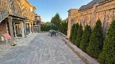 Bright 1-Bedroom Walkout separate entrance Thornhill - Photo 3