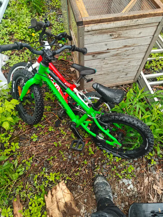 Rocky mountain kids bike 16'