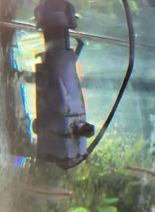 $200-65 gal. aquarium plus more! - Photo 5