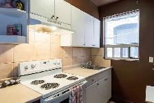 Spacious 1 Bedroom Apartment for rent - Photo 7