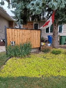 1 bedroom basement suite for rent in Walsh acres