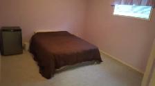 2 Bedrooms Basement. Adults Only $1200 - Photo 4