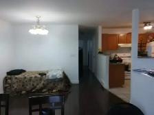 Single family home for rent in South Windsor - Photo 4