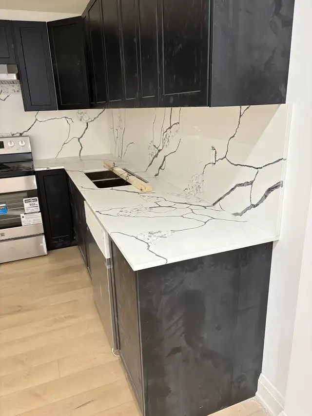Counter& Backsplash