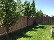 House for Sale by owner - Strathroy/London Ontario area - Photo 23