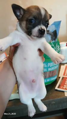 New companion - Photo 7
