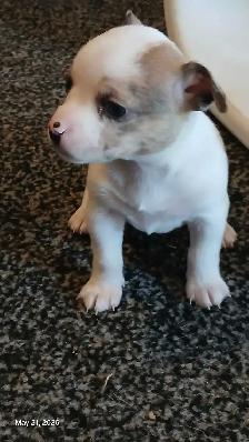 New companion - Photo 8
