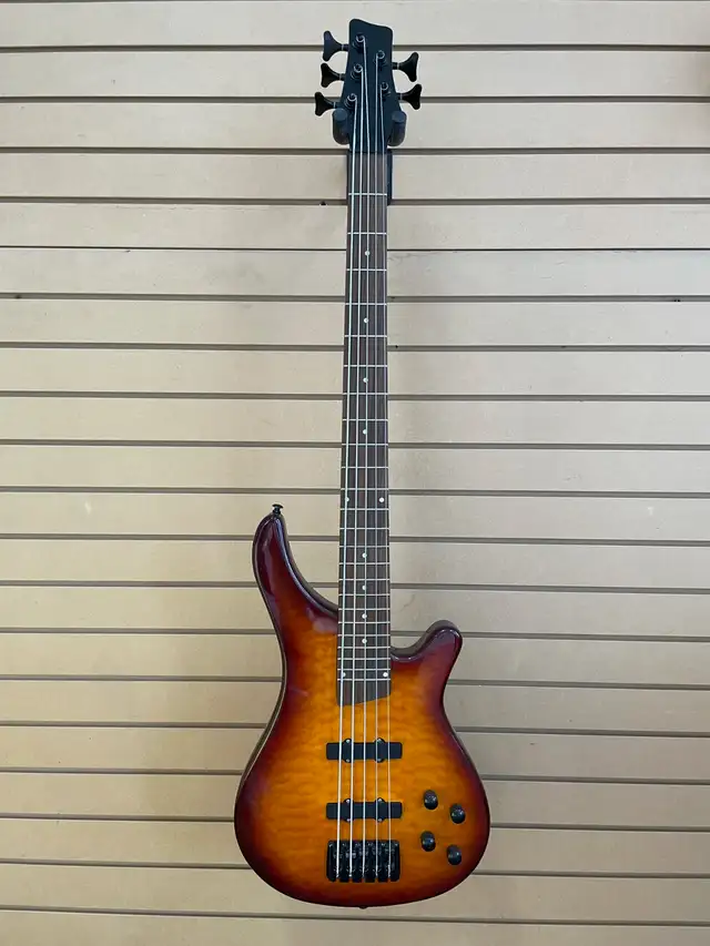 5 String Bass Guitar Sunburst