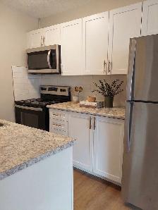 2 Bedroom  Apartment in Elora - ALL INCLUSIVE - Photo 5