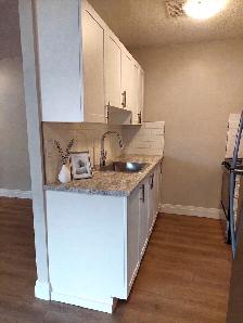2 Bedroom  Apartment in Elora - ALL INCLUSIVE - Photo 6