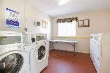 2 Bedroom  Apartment in Elora - ALL INCLUSIVE - Photo 11
