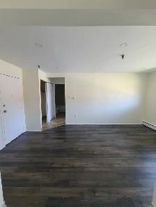 Waterfront 1BRs - 223 Windmill Sept 1st - Heat/Wat & Pkg Incl! - Photo 11