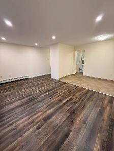 Beautiful Reno 1BR - 7 Mandaville Unit 6 - Sept 3rd - Heat & Pkg