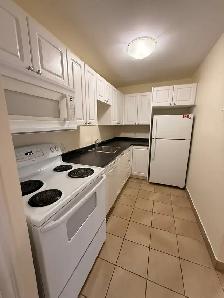 Beautiful Reno 1BR - 7 Mandaville Unit 6 - Sept 3rd - Heat & Pkg - Photo 4
