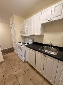 Beautiful Reno 1BR - 7 Mandaville Unit 6 - Sept 3rd - Heat & Pkg - Photo 7