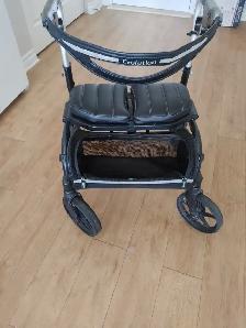 Evolution walker