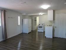 Fort St. James - Renovated Apartment for Rent - Photo 4