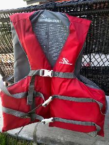 LIFE JACKETS  &  PADDLES - Photo 3