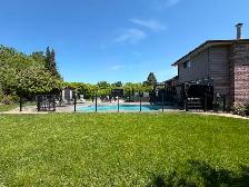 Private beautiful home with in-ground pool for sale - Photo 9