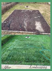 Landscaping Services - Photo 7