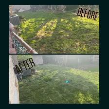 Landscaping Services - Photo 10