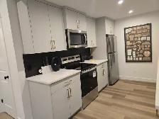 Rockland Park Basement Suite - Photo 4