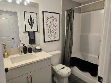 Rockland Park Basement Suite - Photo 5