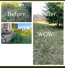 Pay Less Lawn Care - Prices You Can’t Beat! - Photo 2