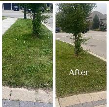 Pay Less Lawn Care - Prices You Can’t Beat! - Photo 3