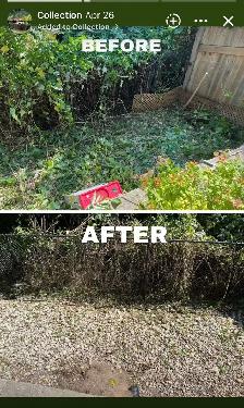 Pay Less Lawn Care - Prices You Can’t Beat! - Photo 4