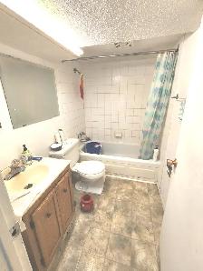 A besement suite for rent in Calgary, SE, 3 beds & 1 bath $1375 - Photo 7