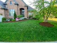 Landscaping Services - Photo 2
